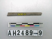 藏品(磨製石針)的圖片